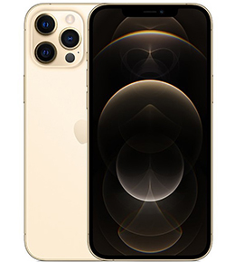 Iphone 13 Max Pro